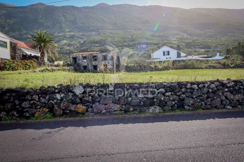 Ruinere i Sao Roque do Pico, Pico, Sao Roque do Pico - € 550.000 | Ref: 055707 - foto 7