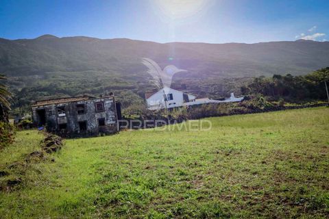 Ruinere i Sao Roque do Pico, Pico, Sao Roque do Pico - € 550.000 | Ref: 055707 - foto 8