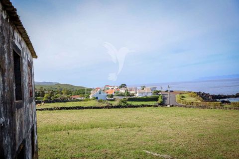 Ruinere i Sao Roque do Pico, Pico, Sao Roque do Pico - € 550.000 | Ref: 055707 - foto 11