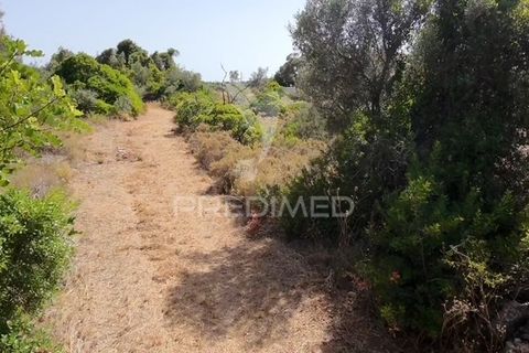 Helårsgrund i Olhao, Faro, Olhao - € 95.000 | Ref: 055866 - foto 4