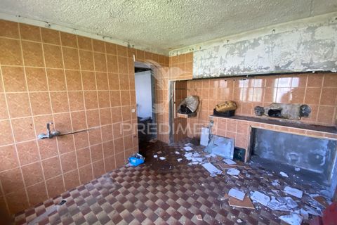 Byhus i Velas, Sao Jorge, Velas - € 45.000 | Ref: 055904 - foto 15