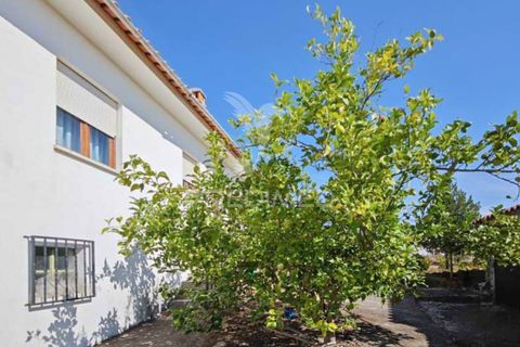 Herregård i Proenca-a-Nova, Castelo Branco, Proenca-a-Nova - € 110 000 | Ref: 056067 - foto 7