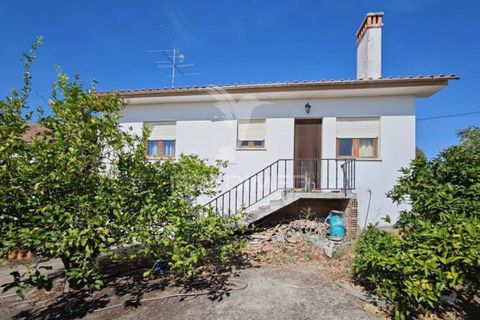 Herregård i Proenca-a-Nova, Castelo Branco, Proenca-a-Nova - € 110 000 | Ref: 056067 - foto 8