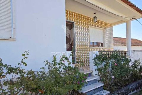 Herregård i Proenca-a-Nova, Castelo Branco, Proenca-a-Nova - € 110 000 | Ref: 056067 - foto 17
