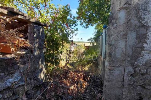 Byhus i Alter do Chao, Portalegre, Alter do Chao - € 20.000 | Ref: 056074 - foto 9