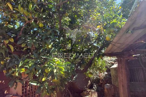 Byhus i Alter do Chao, Portalegre, Alter do Chao - € 20.000 | Ref: 056074 - foto 10