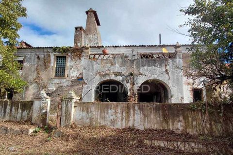 Byhus i Nisa, Portalegre, Nisa - € 140.000 | Ref: 056169 - foto 4