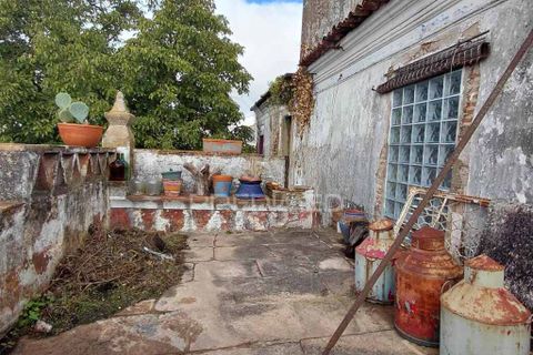 Byhus i Nisa, Portalegre, Nisa - € 140.000 | Ref: 056169 - foto 5