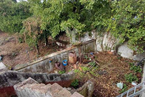 Byhus i Nisa, Portalegre, Nisa - € 140.000 | Ref: 056169 - foto 7