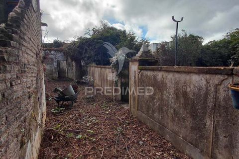Byhus i Nisa, Portalegre, Nisa - € 140.000 | Ref: 056169 - foto 8