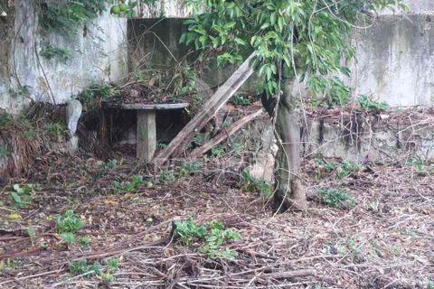 Byhus i Nisa, Portalegre, Nisa - € 140.000 | Ref: 056169 - foto 9