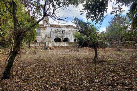 Byhus i Nisa, Portalegre, Nisa - € 140.000 | Ref: 056169 - foto 25