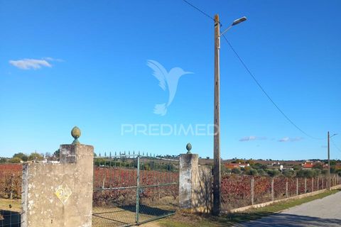 Farm hus i Redondo, Evora, Redondo - € 100.000 | Ref: 056580 - foto 1