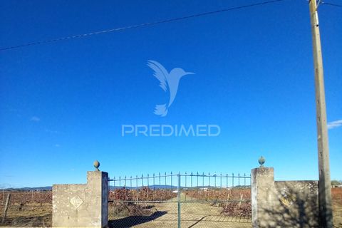 Farm hus i Redondo, Evora, Redondo - € 100.000 | Ref: 056580 - foto 2