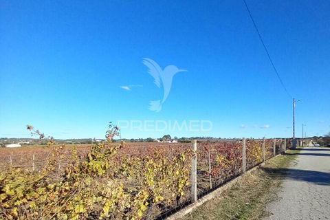 Farm hus i Redondo, Evora, Redondo - € 100.000 | Ref: 056580 - foto 4