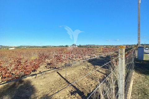 Farm hus i Redondo, Evora, Redondo - € 100.000 | Ref: 056580 - foto 5