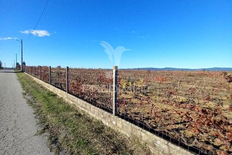 Farm hus i Redondo, Evora, Redondo - € 100.000 | Ref: 056580 - foto 6