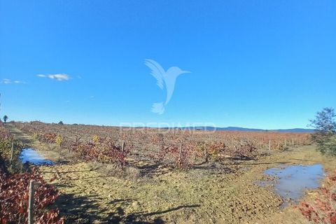 Farm hus i Redondo, Evora, Redondo - € 100.000 | Ref: 056580 - foto 7