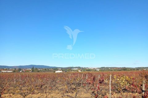 Farm hus i Redondo, Evora, Redondo - € 100.000 | Ref: 056580 - foto 9