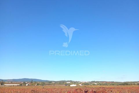 Farm hus i Redondo, Evora, Redondo - € 100.000 | Ref: 056580 - foto 10