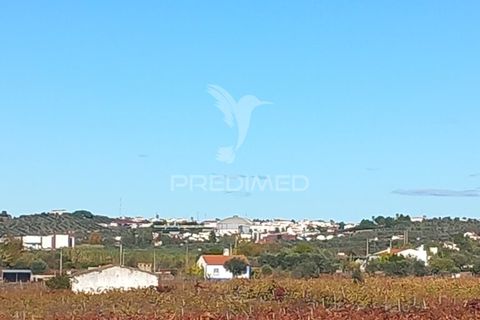 Farm hus i Redondo, Evora, Redondo - € 100.000 | Ref: 056580 - foto 11
