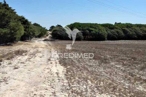 Helårsgrund i Sines, Setubal, Sines - € 139.000 | Ref: 056698 - foto 3