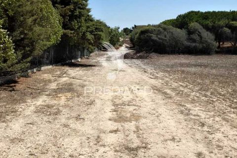 Helårsgrund i Sines, Setubal, Sines - € 139.000 | Ref: 056698 - foto 2