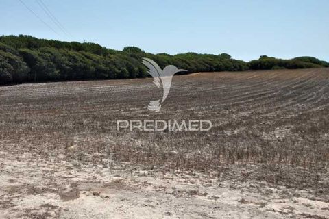 Helårsgrund i Sines, Setubal, Sines - € 139.000 | Ref: 056698 - foto 4