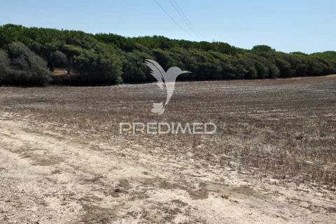 Helårsgrund i Sines, Setubal, Sines - € 139.000 | Ref: 056698 - foto 1