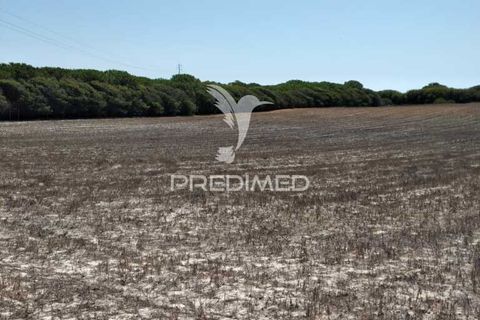 Helårsgrund i Sines, Setubal, Sines - € 139.000 | Ref: 056698 - foto 8