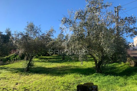 Helårsgrund i Abrantes, Santarem, Abrantes - € 24.000 | Ref: 056722 - foto 1