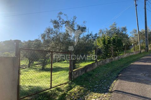 Helårsgrund i Abrantes, Santarem, Abrantes - € 24.000 | Ref: 056722 - foto 4