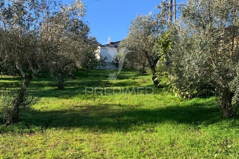 Helårsgrund i Abrantes, Santarem, Abrantes - € 24.000 | Ref: 056722 - foto 6