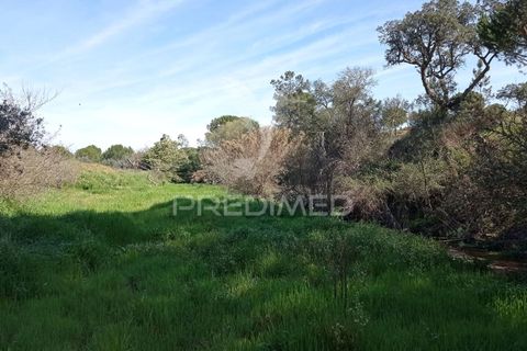 Farm hus i Coruche, Santarem, Coruche - € 129.000 | Ref: 056811 - foto 20
