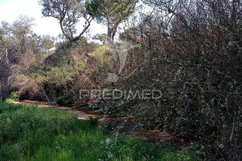 Farm hus i Coruche, Santarem, Coruche - € 129.000 | Ref: 056811 - foto 21