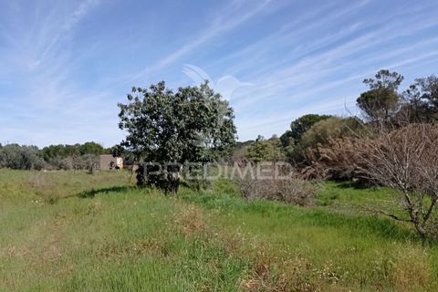 Farm hus i Coruche, Santarem, Coruche - € 129.000 | Ref: 056811 - foto 22