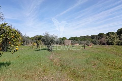 Farm hus i Coruche, Santarem, Coruche - € 129.000 | Ref: 056811 - foto 23