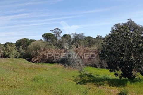 Farm hus i Coruche, Santarem, Coruche - € 129.000 | Ref: 056811 - foto 24