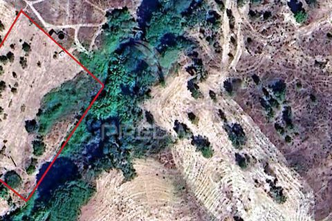 Farm hus i Coruche, Santarem, Coruche - € 129.000 | Ref: 056811 - foto 25