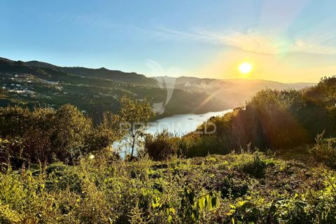 Byhus i Baiao, Porto, Baiao - € 99.000 | Ref: 056976 - foto 7