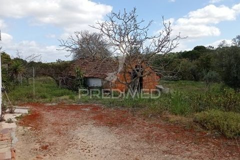 Farm hus i Coruche, Santarem, Coruche - € 149.000 | Ref: 057007 - foto 2