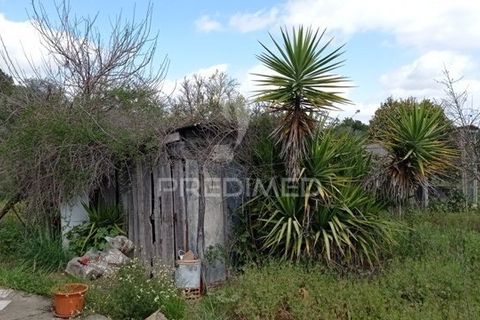 Farm hus i Coruche, Santarem, Coruche - € 149.000 | Ref: 057007 - foto 3