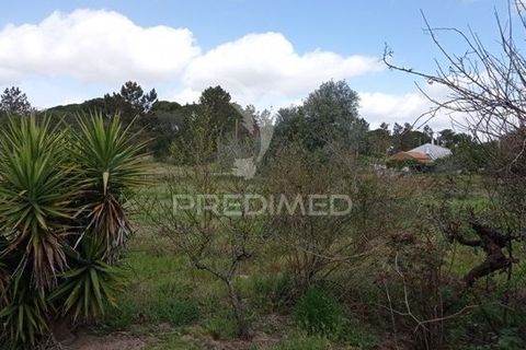 Farm hus i Coruche, Santarem, Coruche - € 149.000 | Ref: 057007 - foto 16