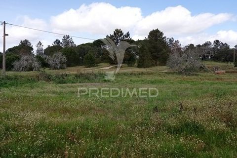 Farm hus i Coruche, Santarem, Coruche - € 149.000 | Ref: 057007 - foto 17