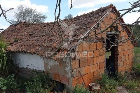 Farm hus i Coruche, Santarem, Coruche - € 149.000 | Ref: 057007 - foto 18