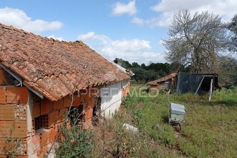 Farm hus i Coruche, Santarem, Coruche - € 149.000 | Ref: 057007 - foto 20
