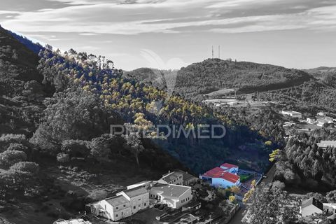 Byhus i Mafra, Lisbon, Mafra - € 830.000 | Ref: 057339 - foto 38