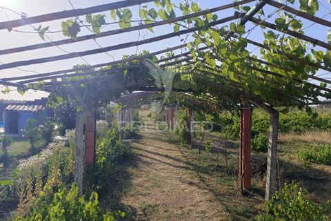 Farm hus i Estremoz, Evora, Estremoz - € 398.000 | Ref: 057416 - foto 23