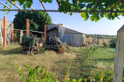 Farm hus i Estremoz, Evora, Estremoz - € 398.000 | Ref: 057416 - foto 24