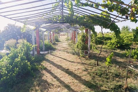 Farm hus i Estremoz, Evora, Estremoz - € 398.000 | Ref: 057416 - foto 29